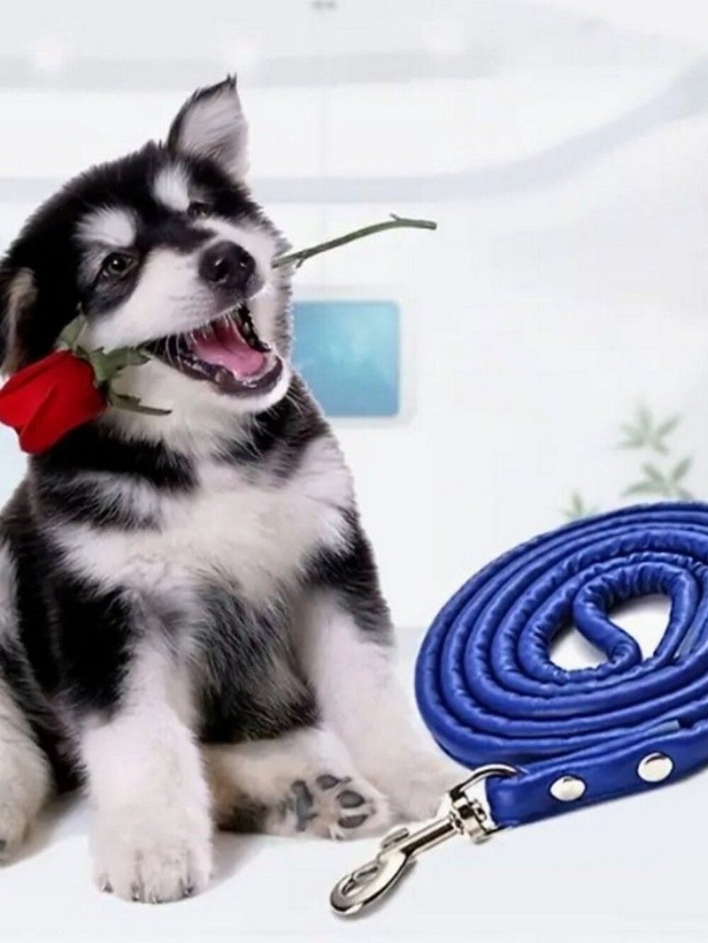 Xander Rey Classic Style Faux Leather Rotating Clip Dog Leash Retro Blue